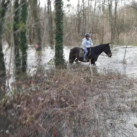 Maison Spacieuse Pres Du Centre Equestre 펜션