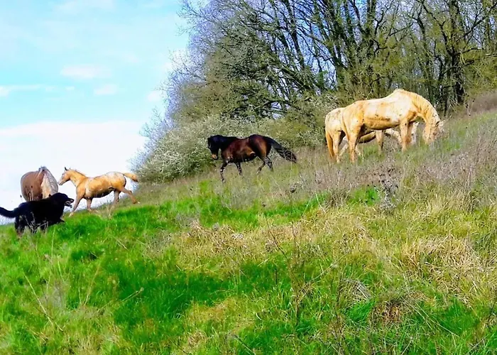 Maison Spacieuse Près Du Centre équestre Сasa de vacaciones Anché